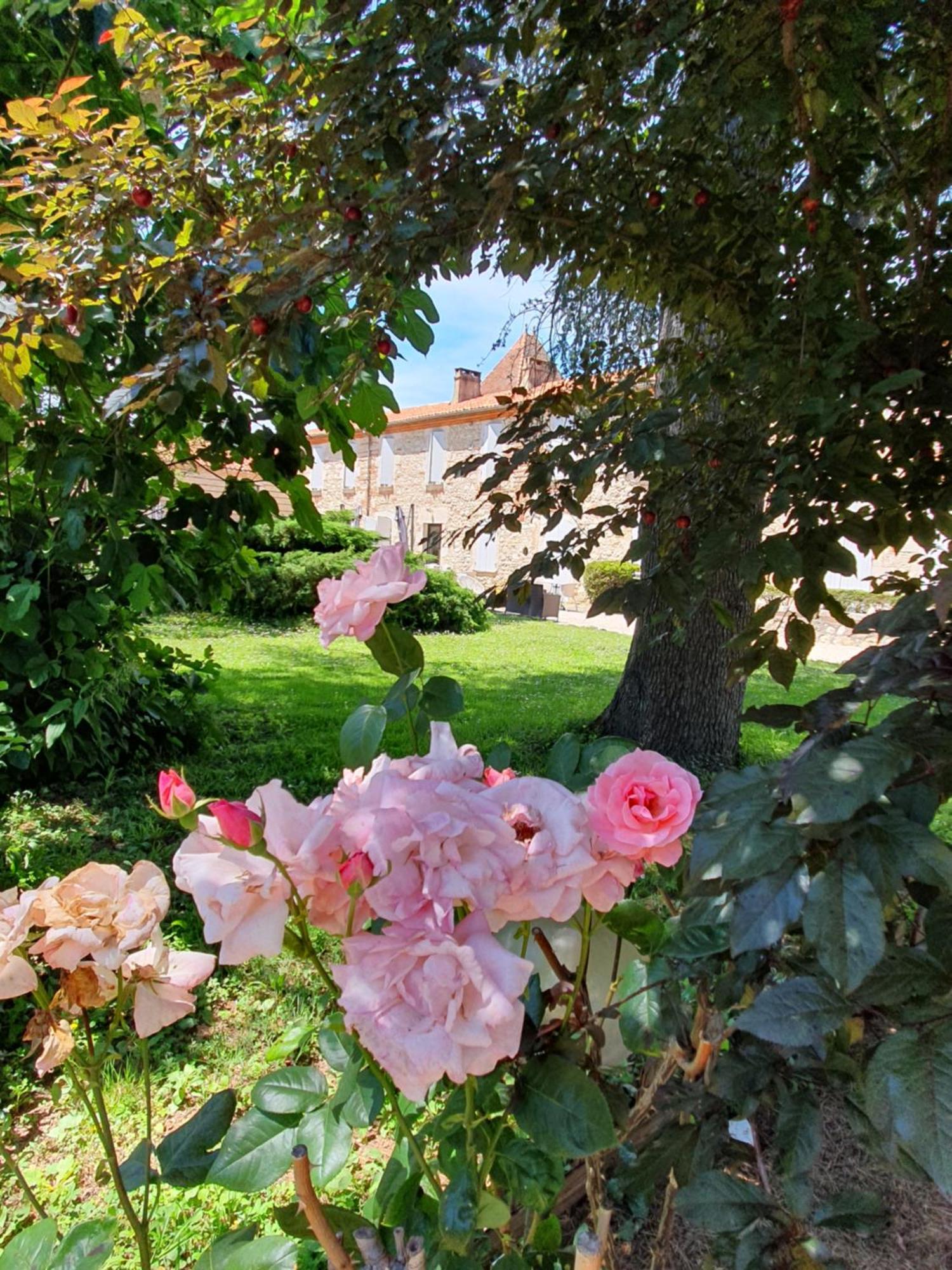 Logis Hotel Le Prince Noir Sérignac-sur-Garonne 외부 사진